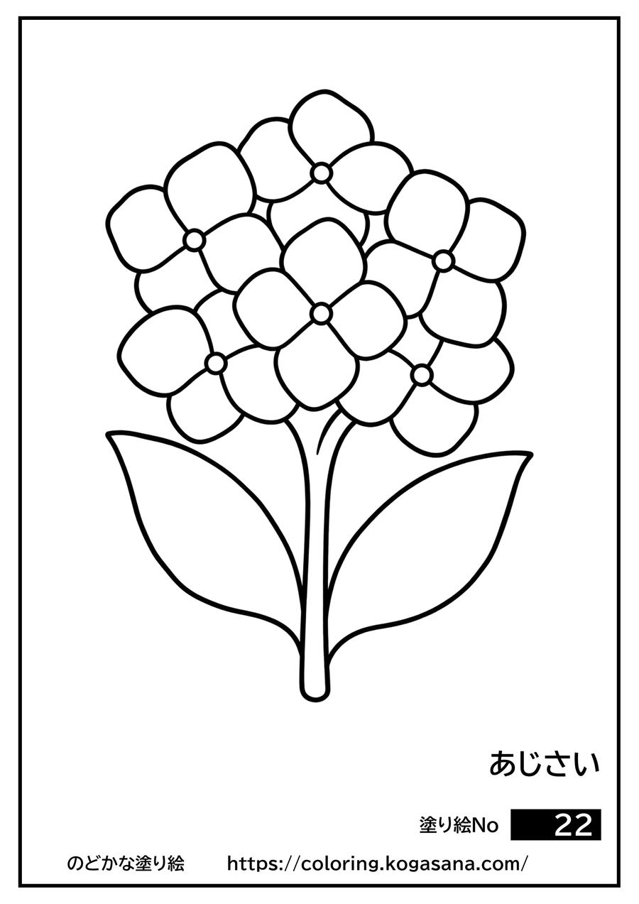 あじさいの塗り絵