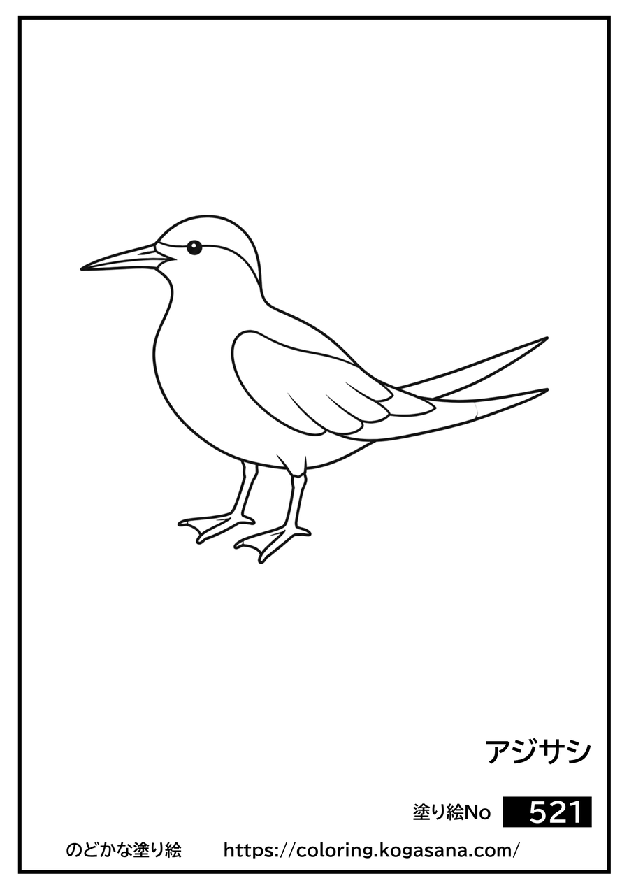 アジサシの塗り絵