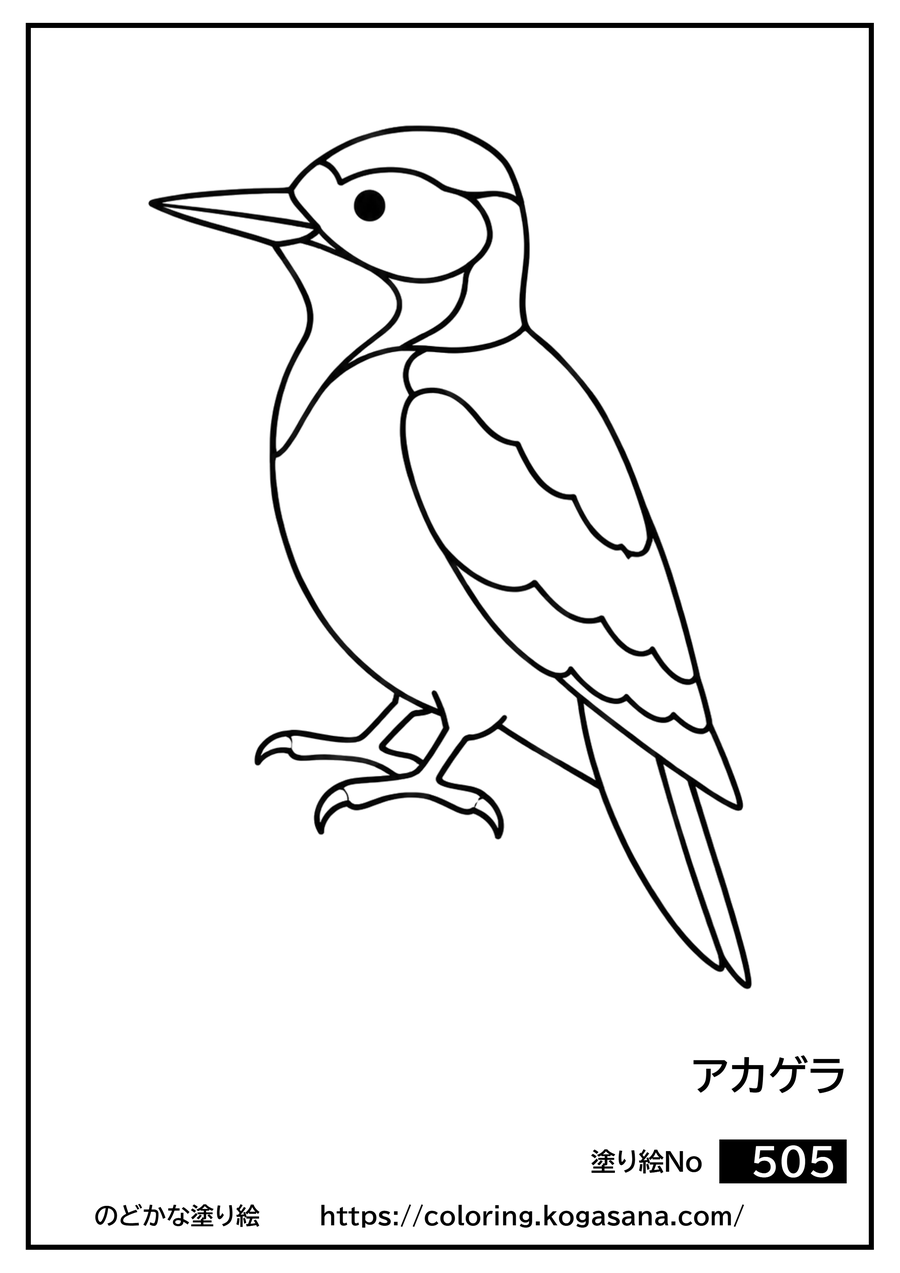 アカゲラの塗り絵