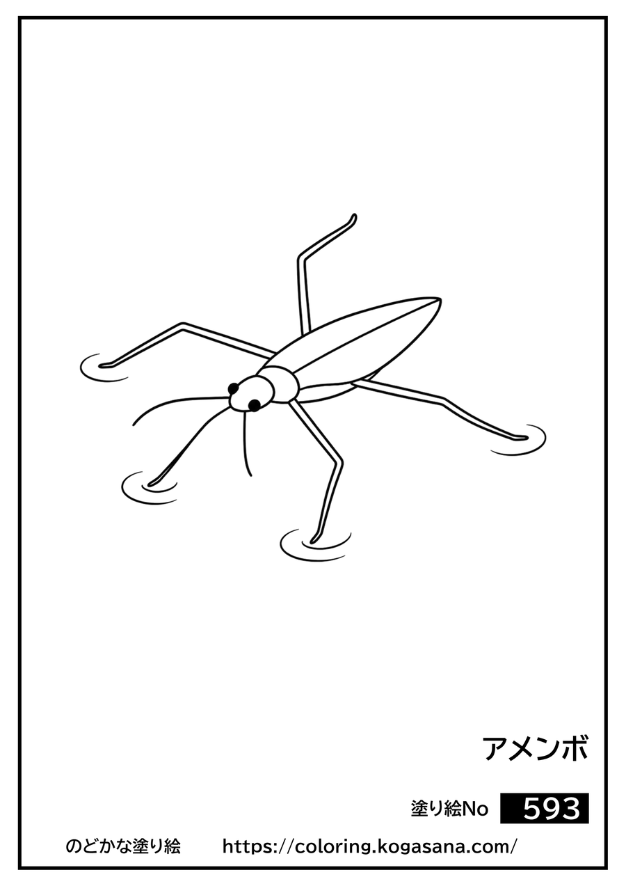 アメンボの塗り絵