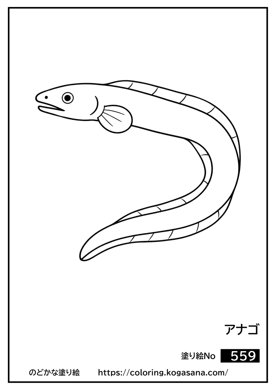 アナゴの塗り絵
