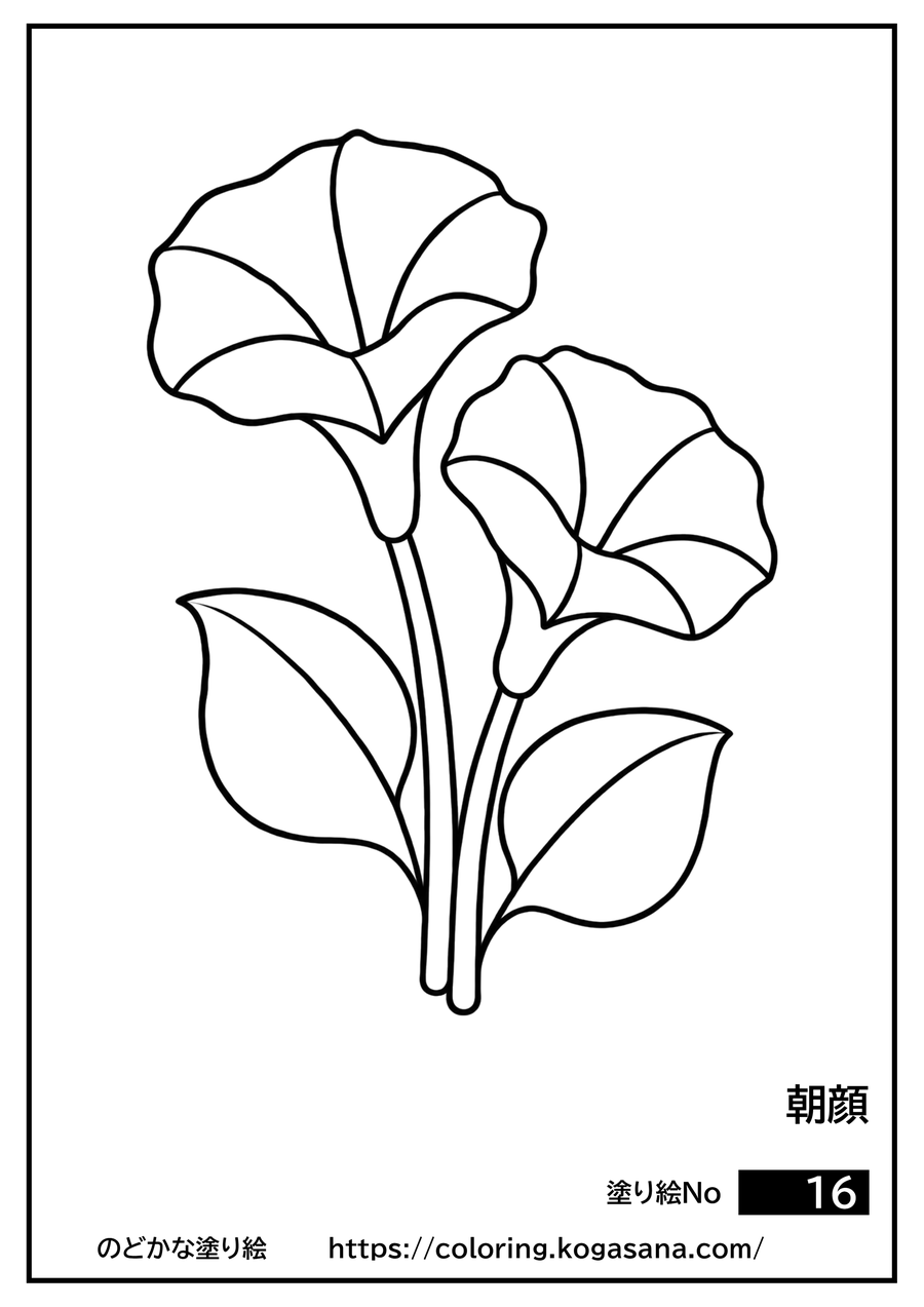 朝顔の塗り絵