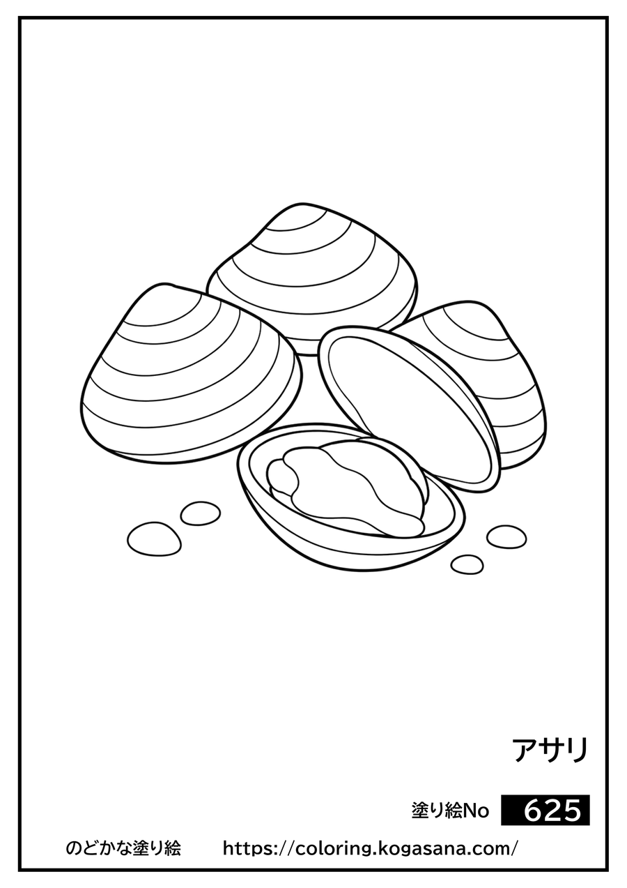 アサリの塗り絵