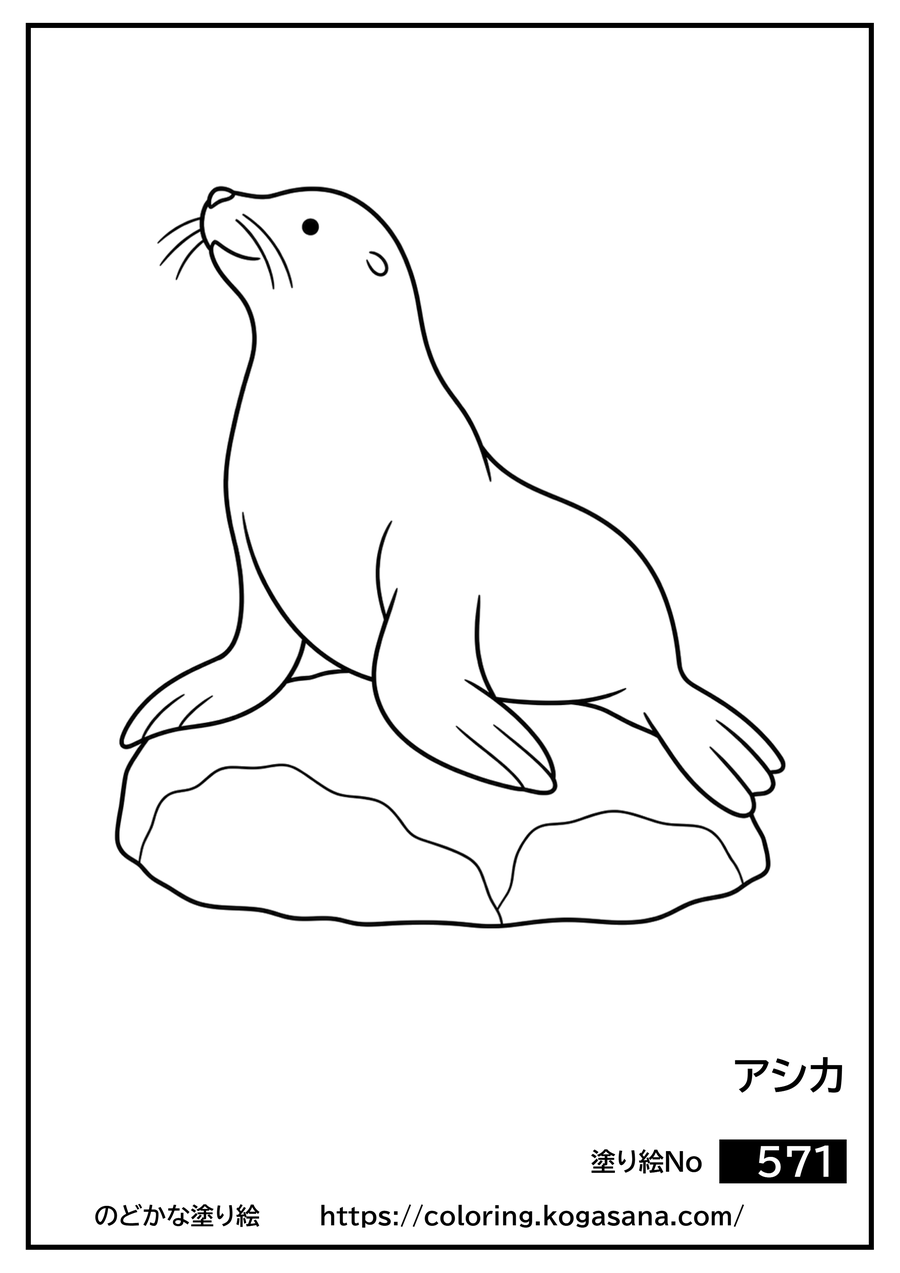アシカの塗り絵