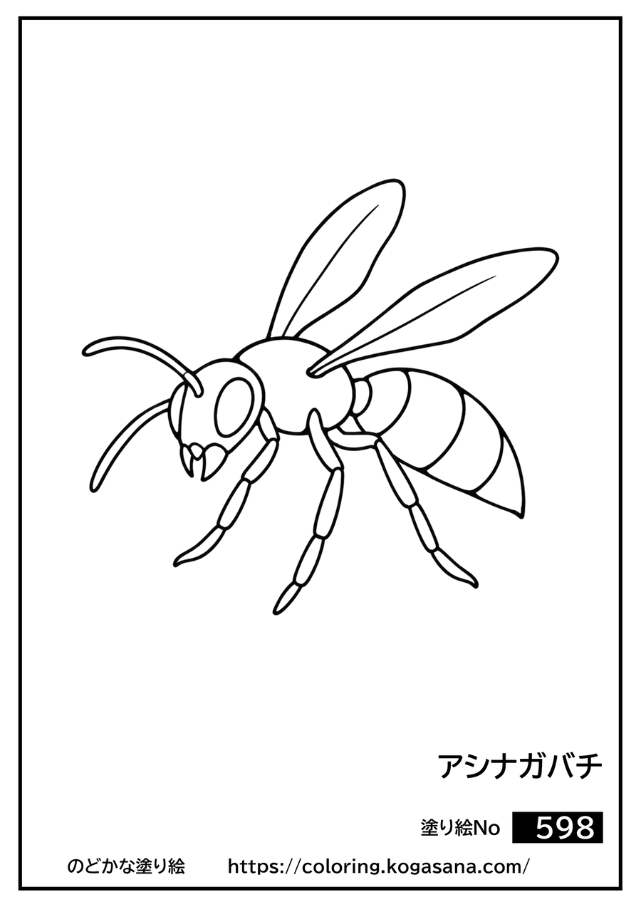 アシナガバチの塗り絵