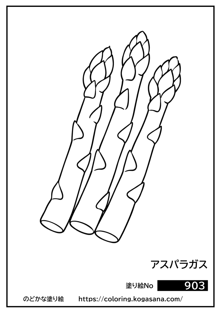 アスパラガスの塗り絵