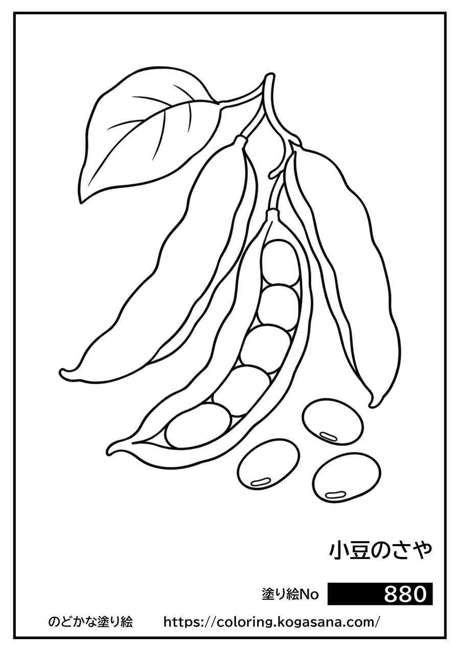 小豆のさやの塗り絵