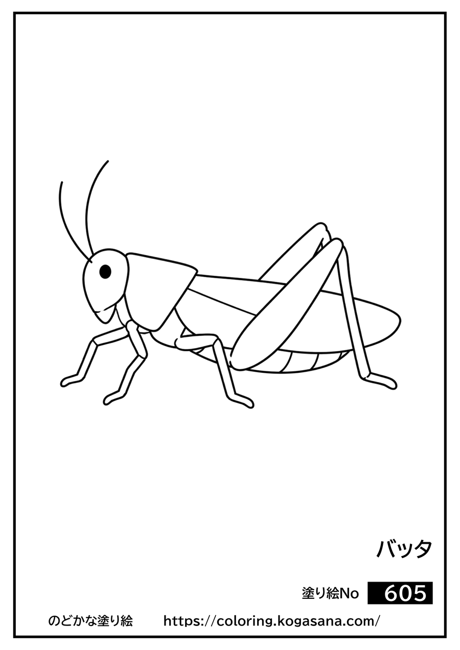 バッタの塗り絵