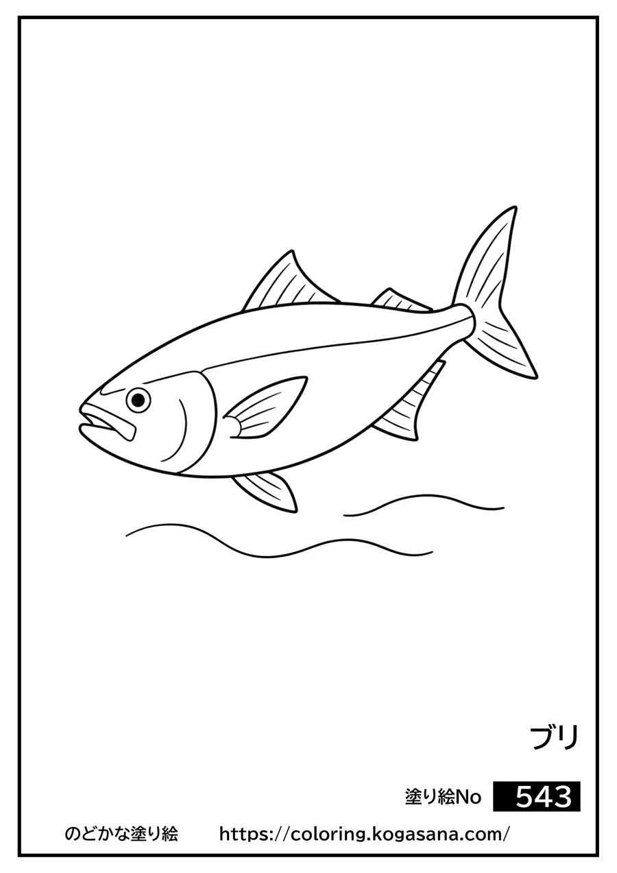ブリの塗り絵