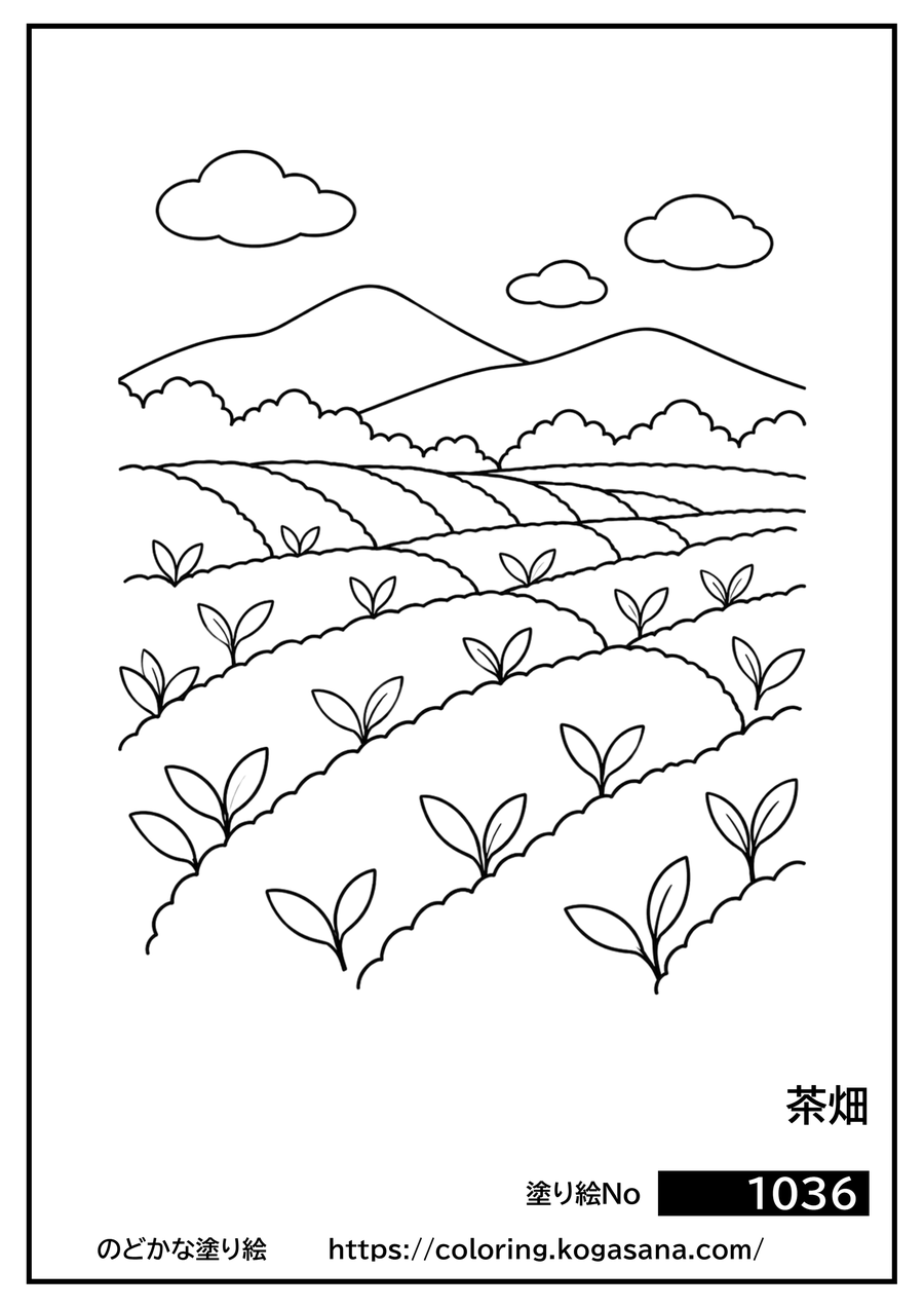 茶畑の塗り絵