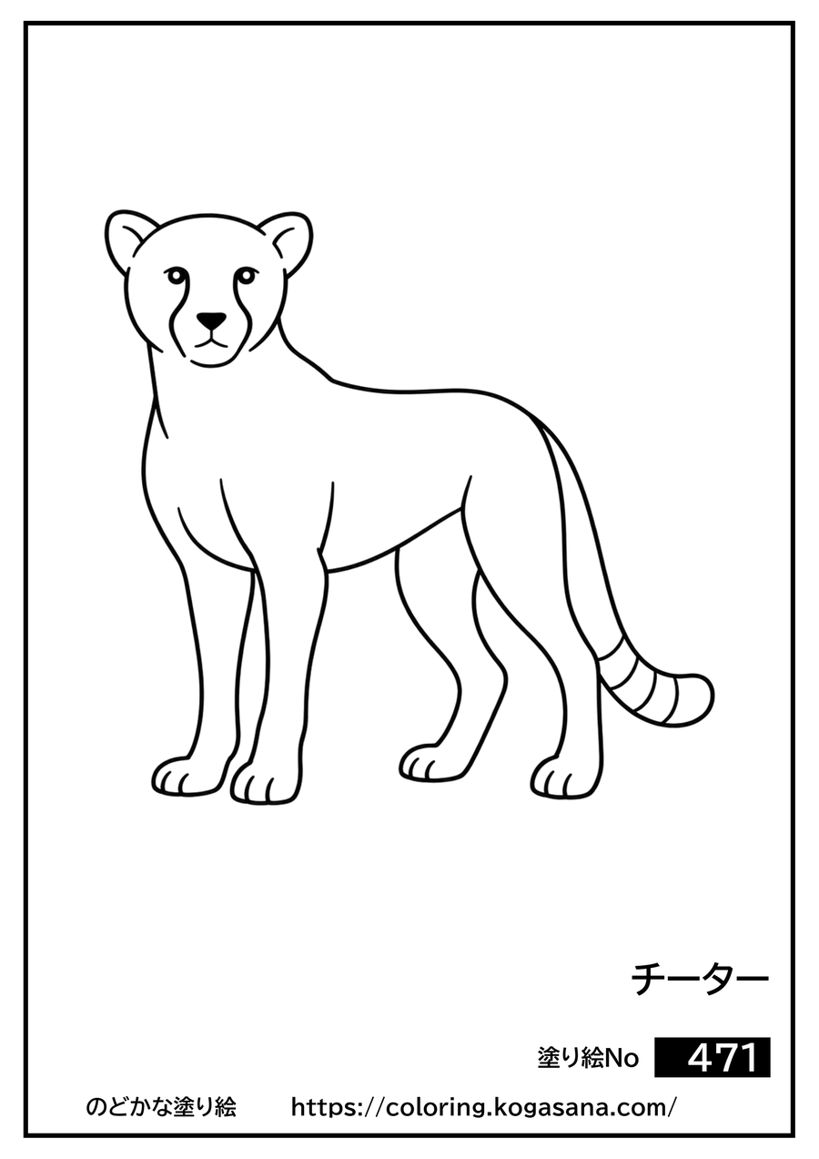 チーターの塗り絵
