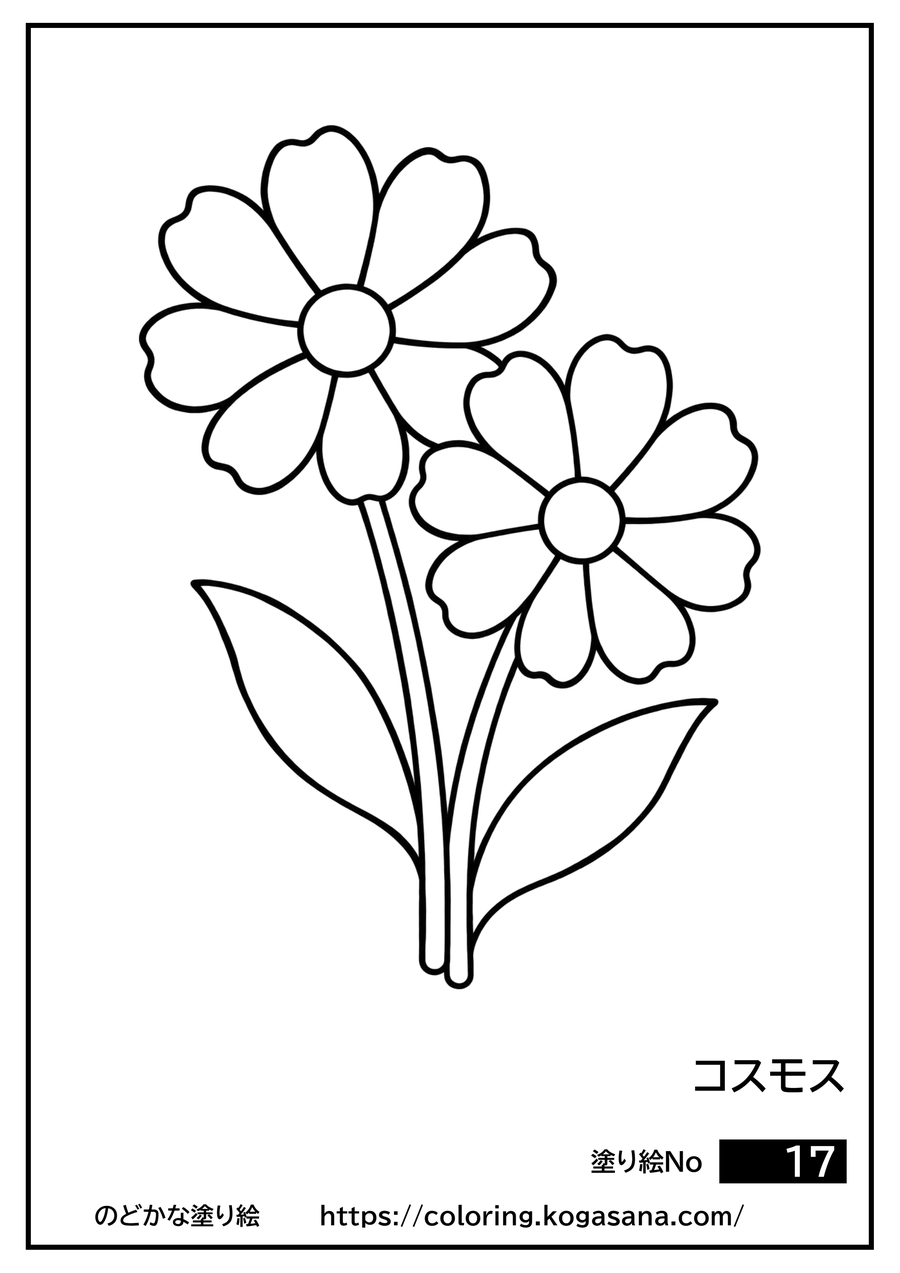 コスモスの塗り絵