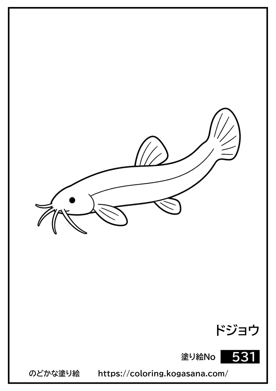 ドジョウの塗り絵
