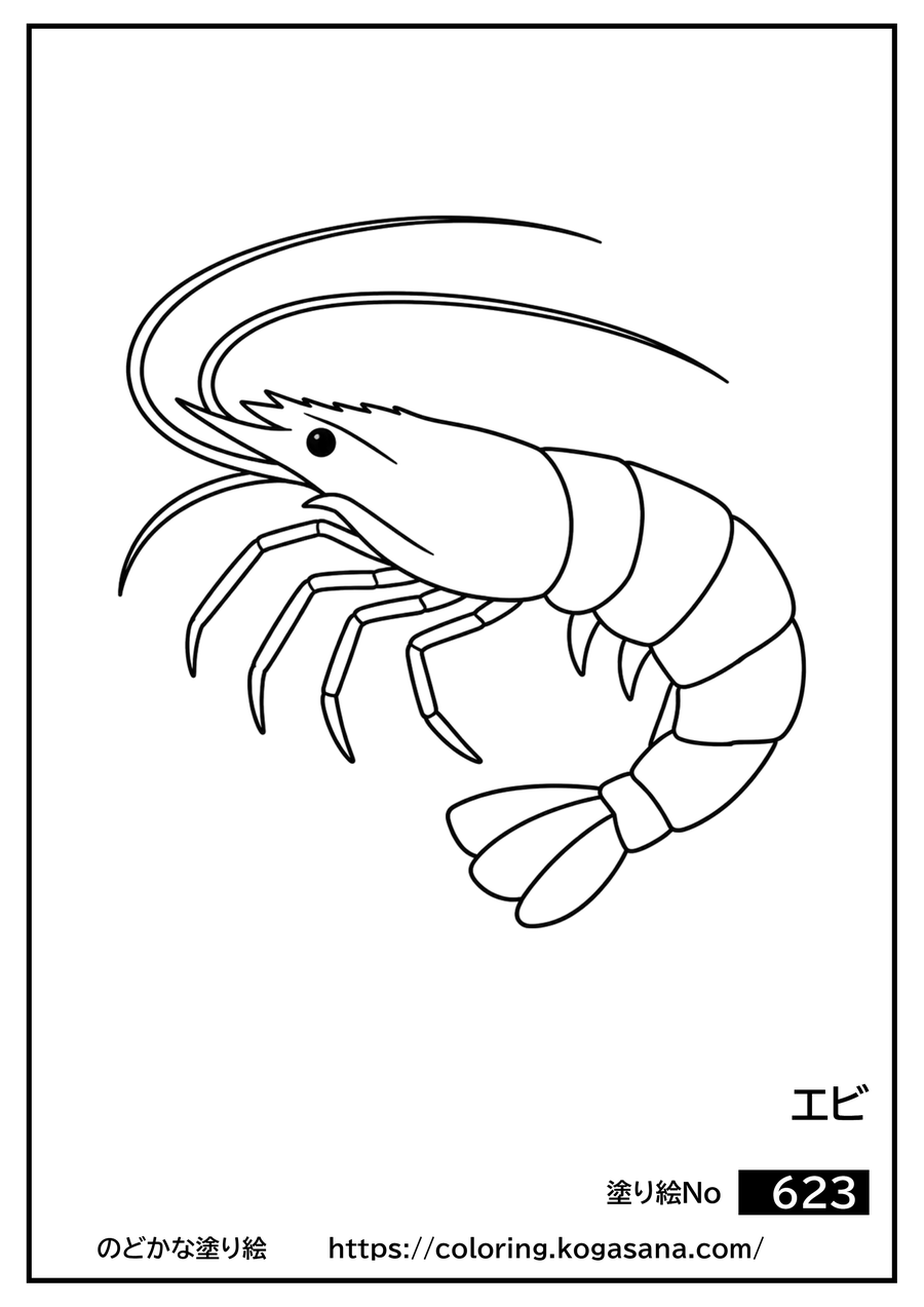 エビの塗り絵