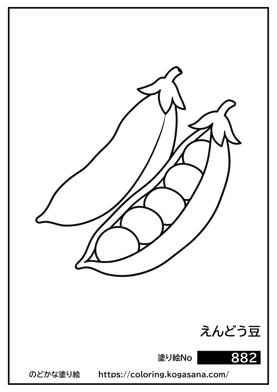 えんどう豆の塗り絵