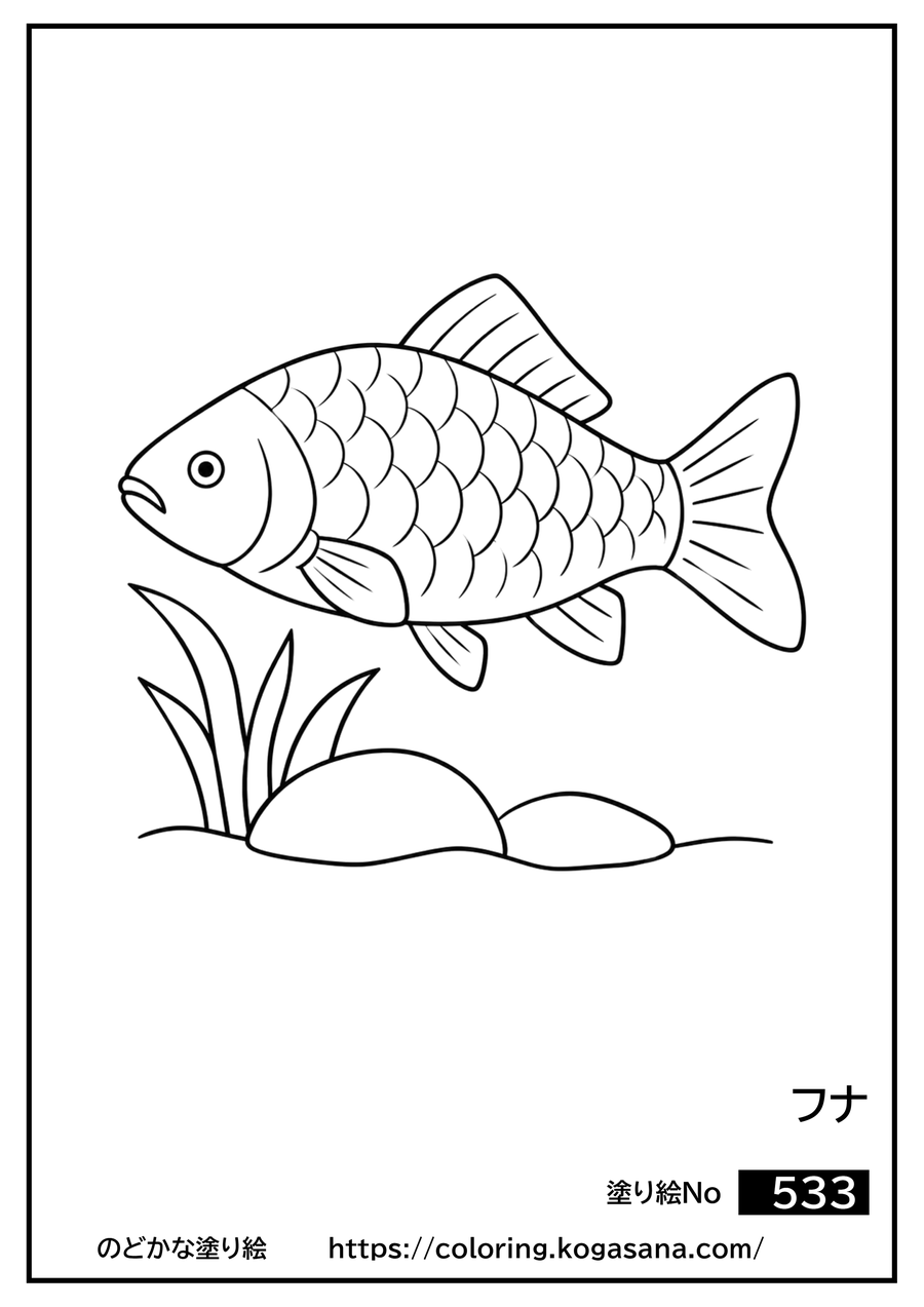 フナの塗り絵