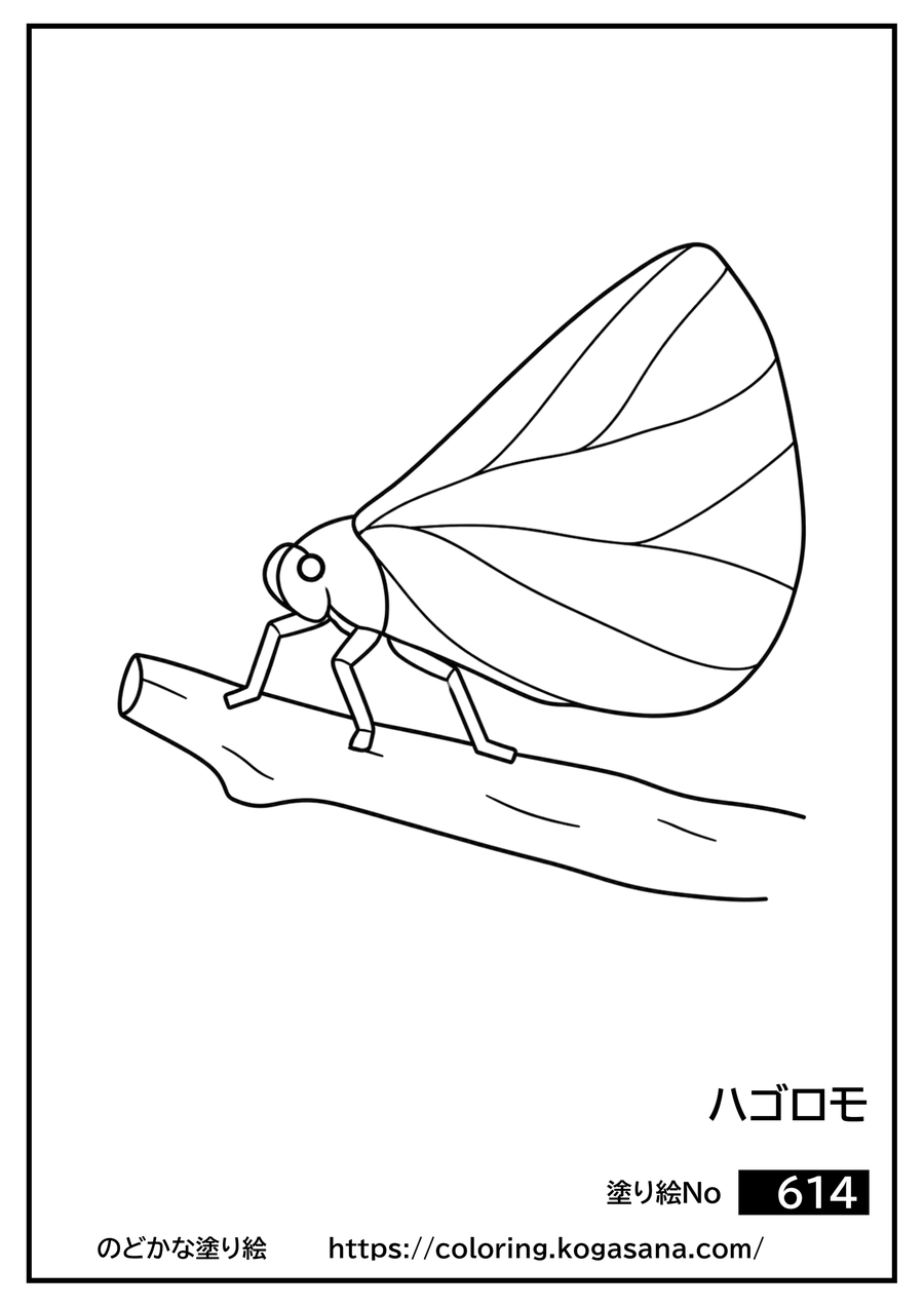 ハゴロモの塗り絵