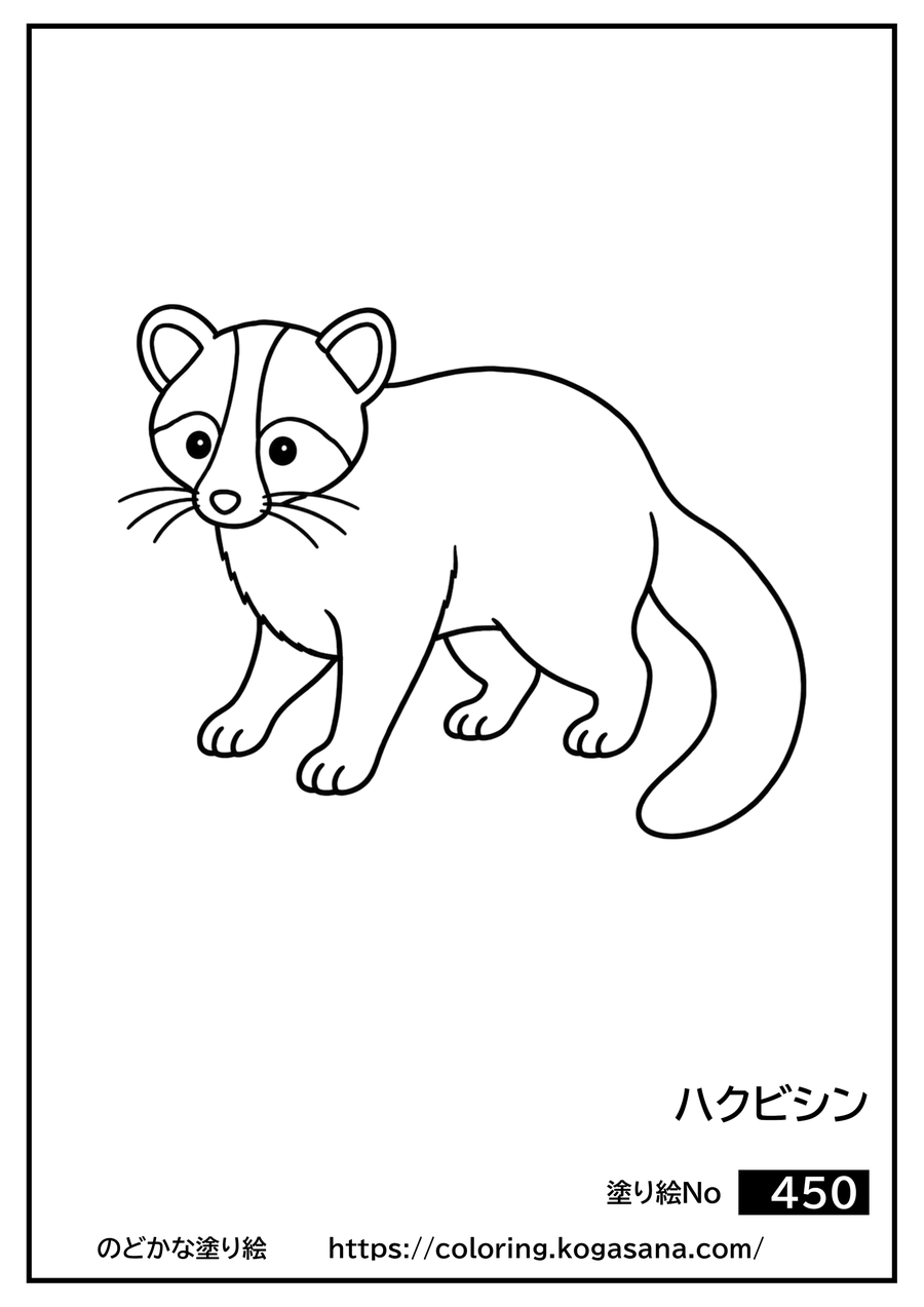 ハクビシンの塗り絵