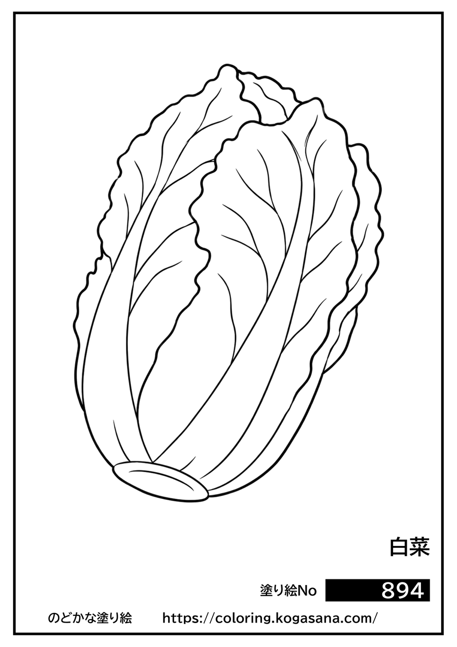 白菜の塗り絵