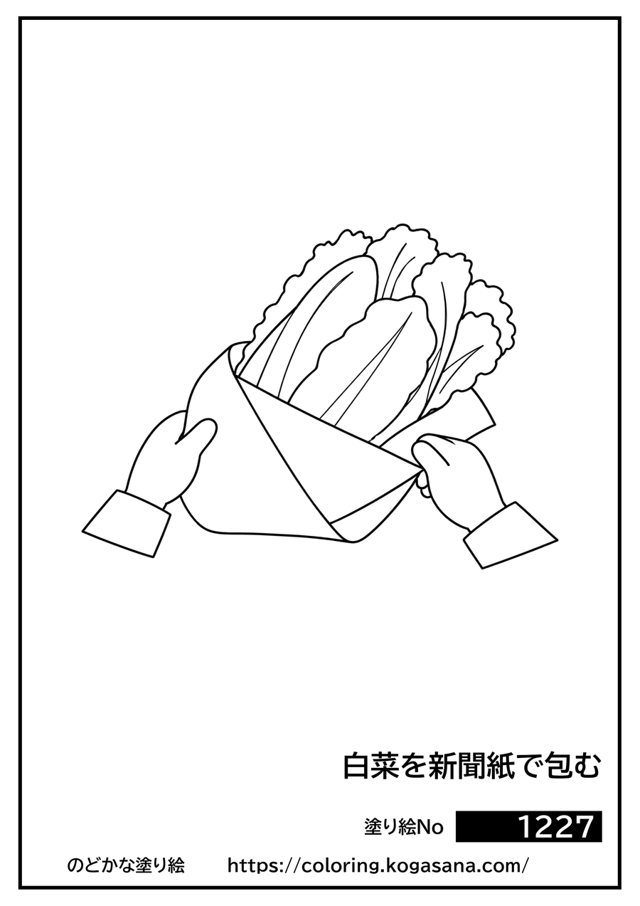 白菜を新聞紙で包むの塗り絵