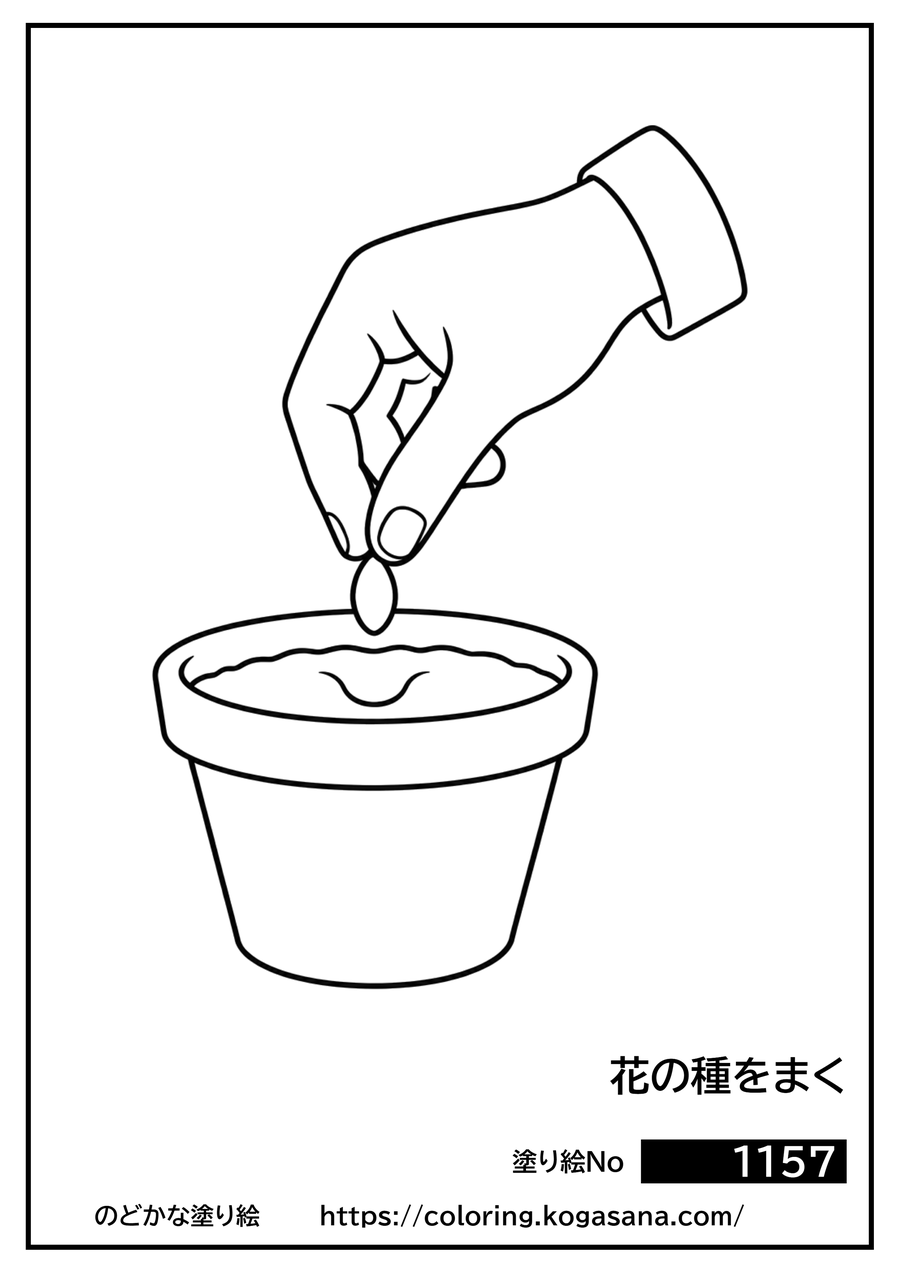 花の種をまくの塗り絵