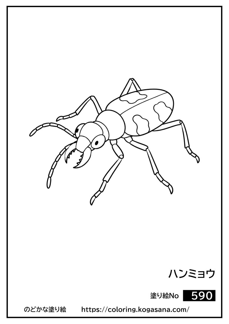 ハンミョウの塗り絵