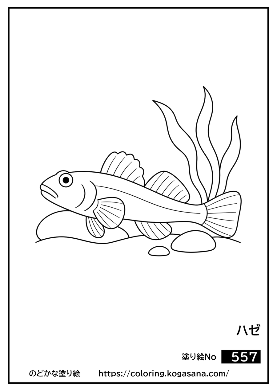 ハゼの塗り絵