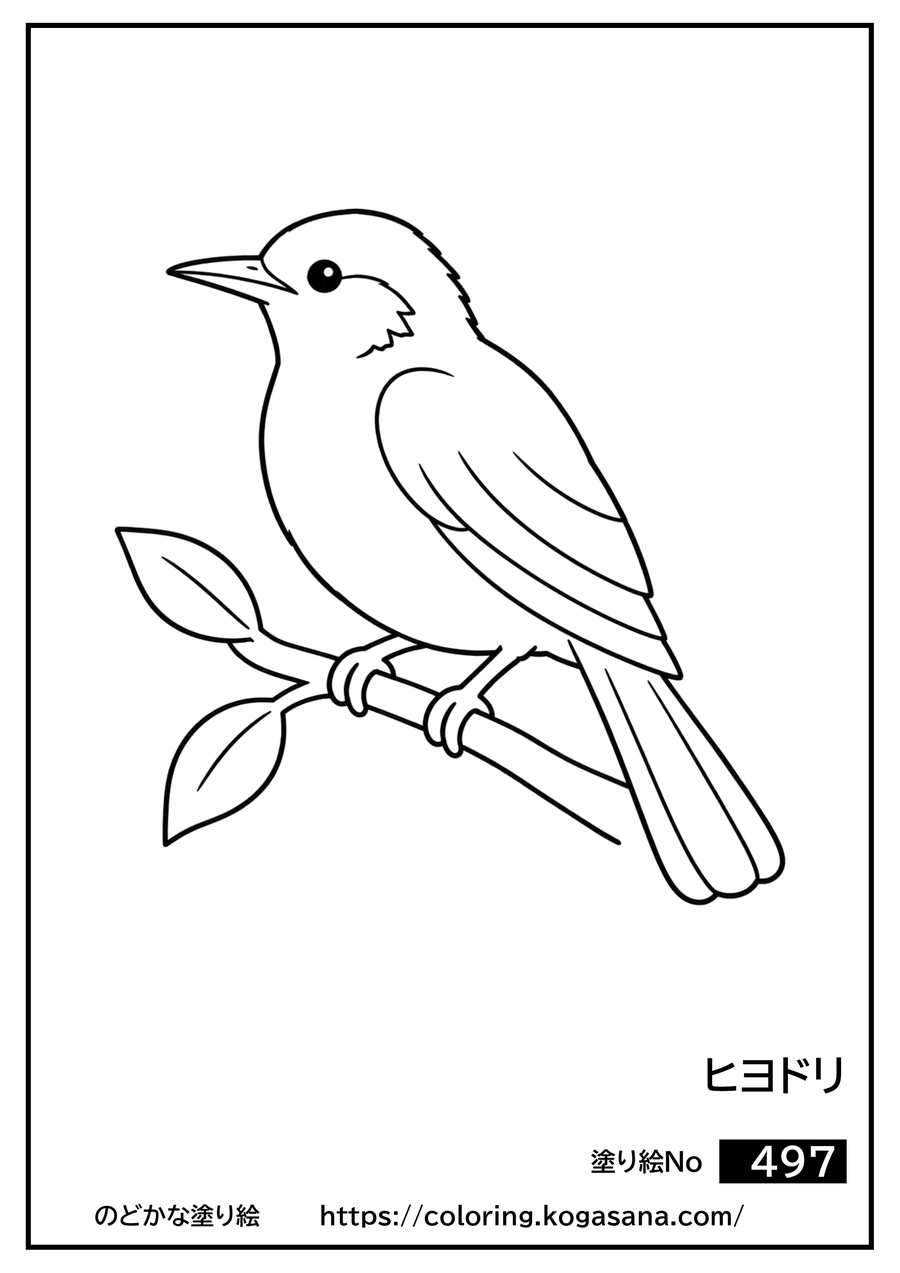 ヒヨドリの塗り絵