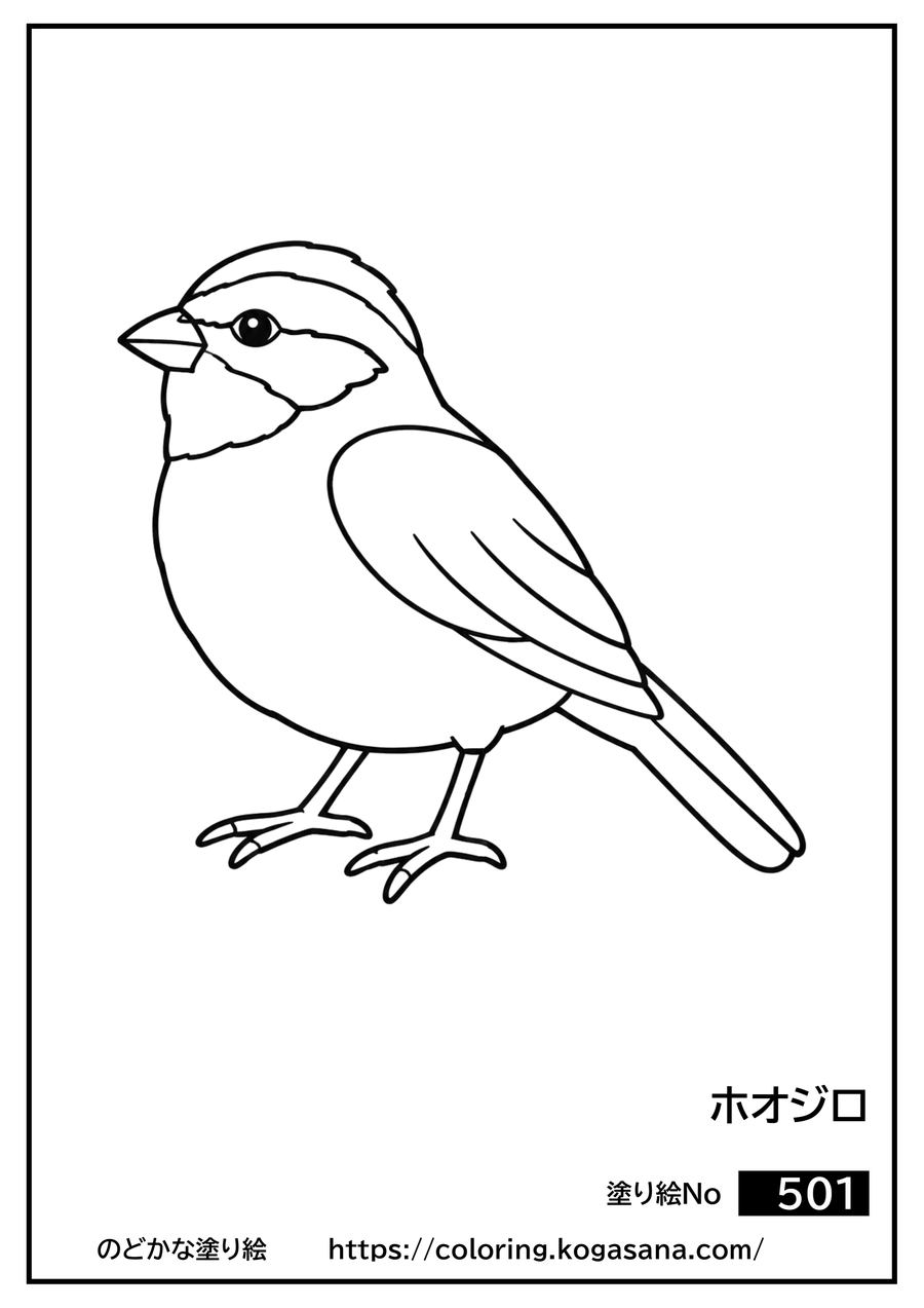 ホオジロの塗り絵