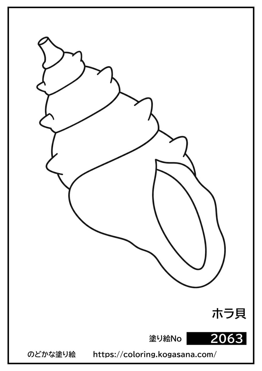 ホラ貝の塗り絵