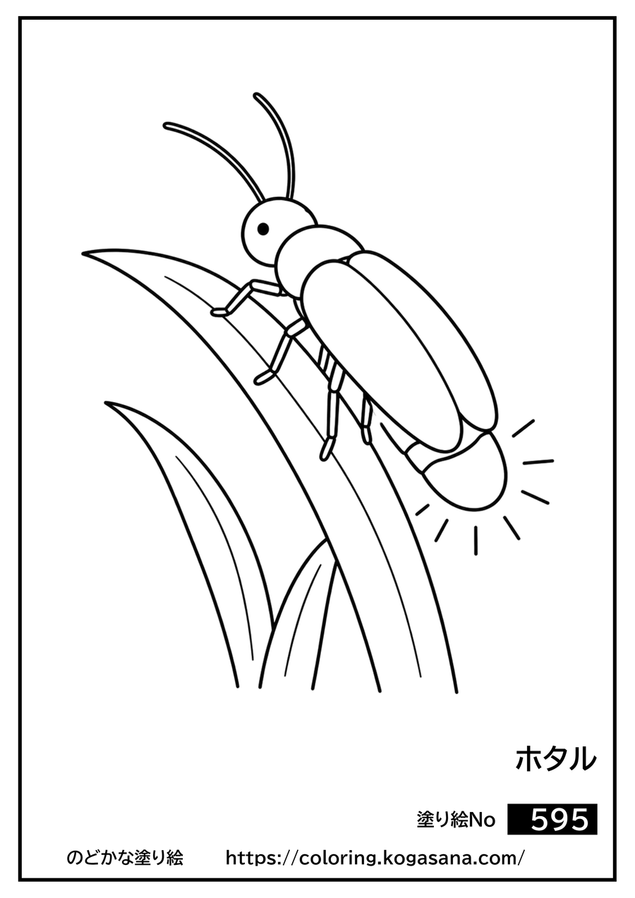 ホタルの塗り絵