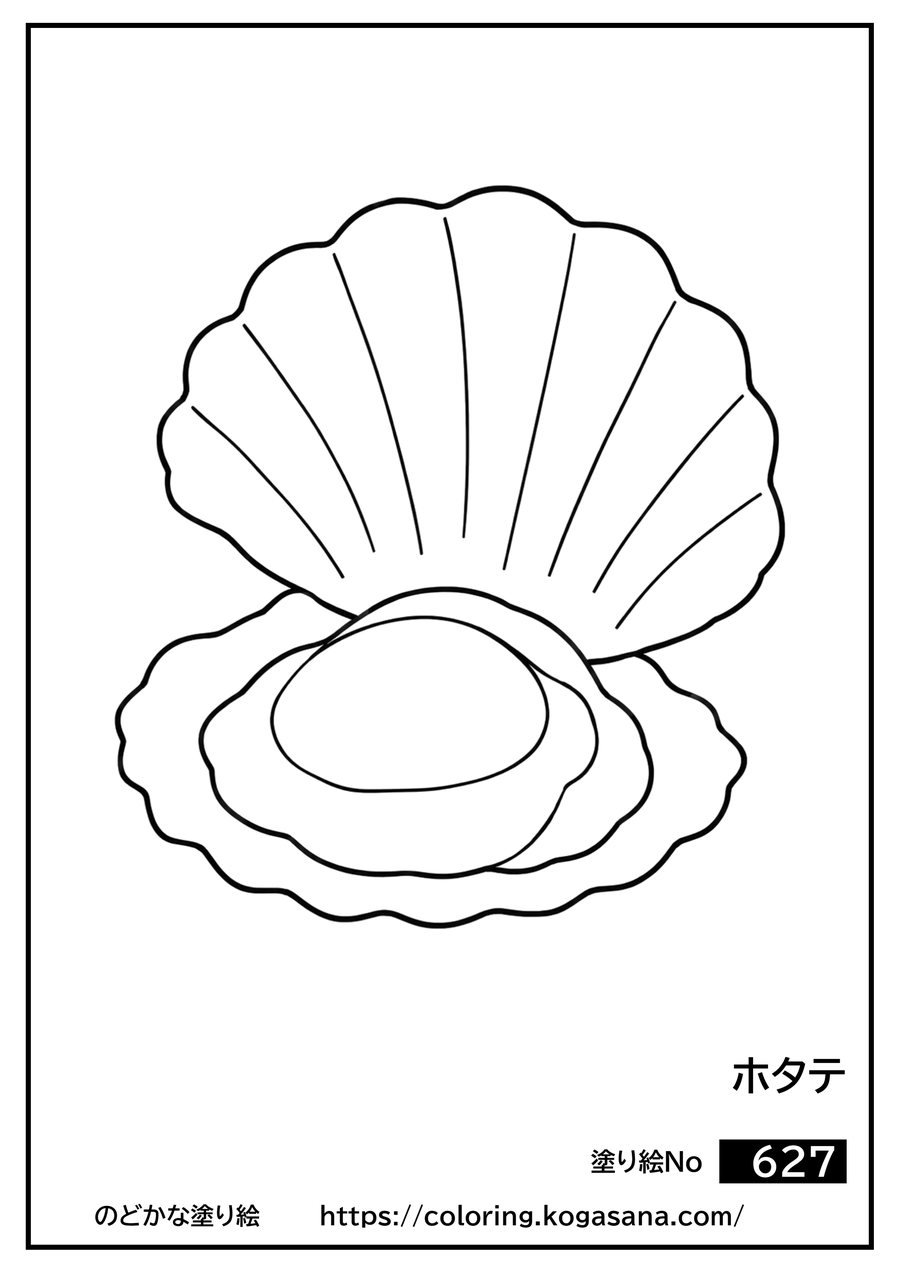 ホタテの塗り絵