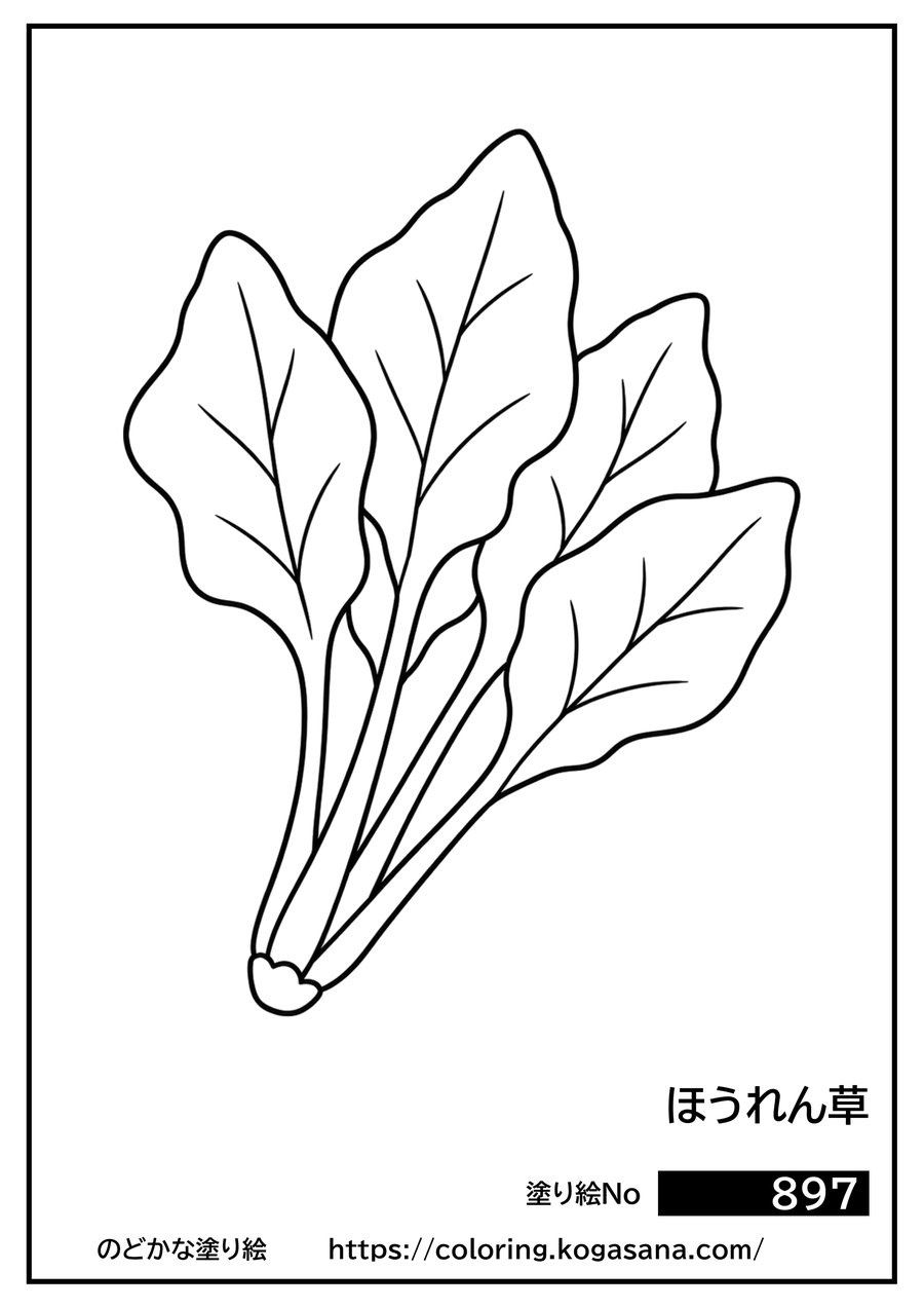 ほうれん草の塗り絵