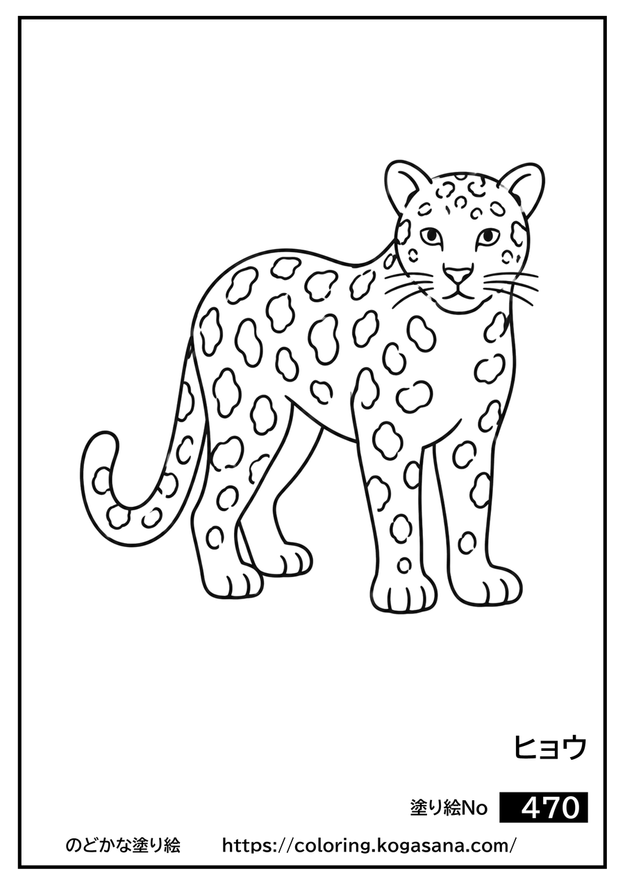 ヒョウの塗り絵