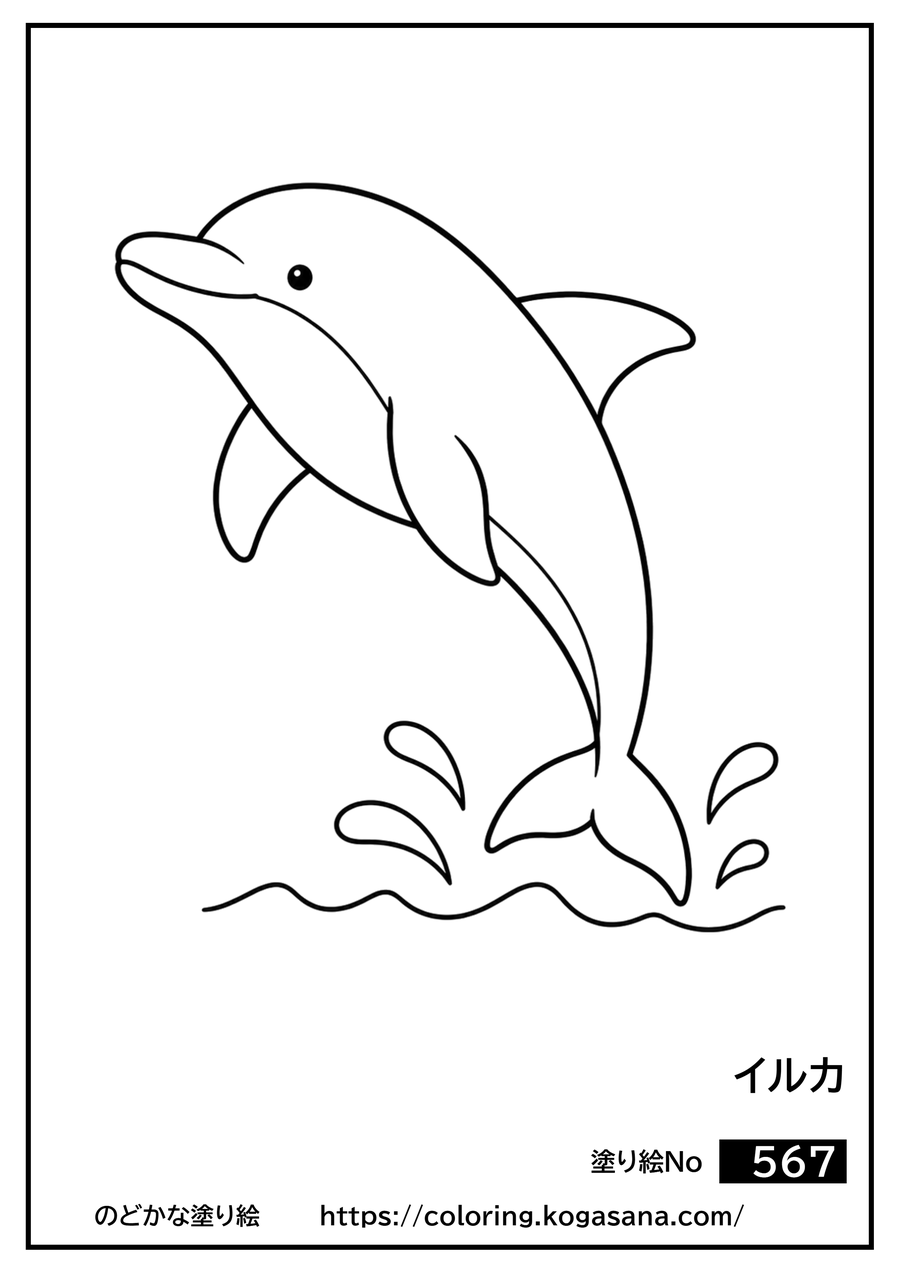 イルカの塗り絵