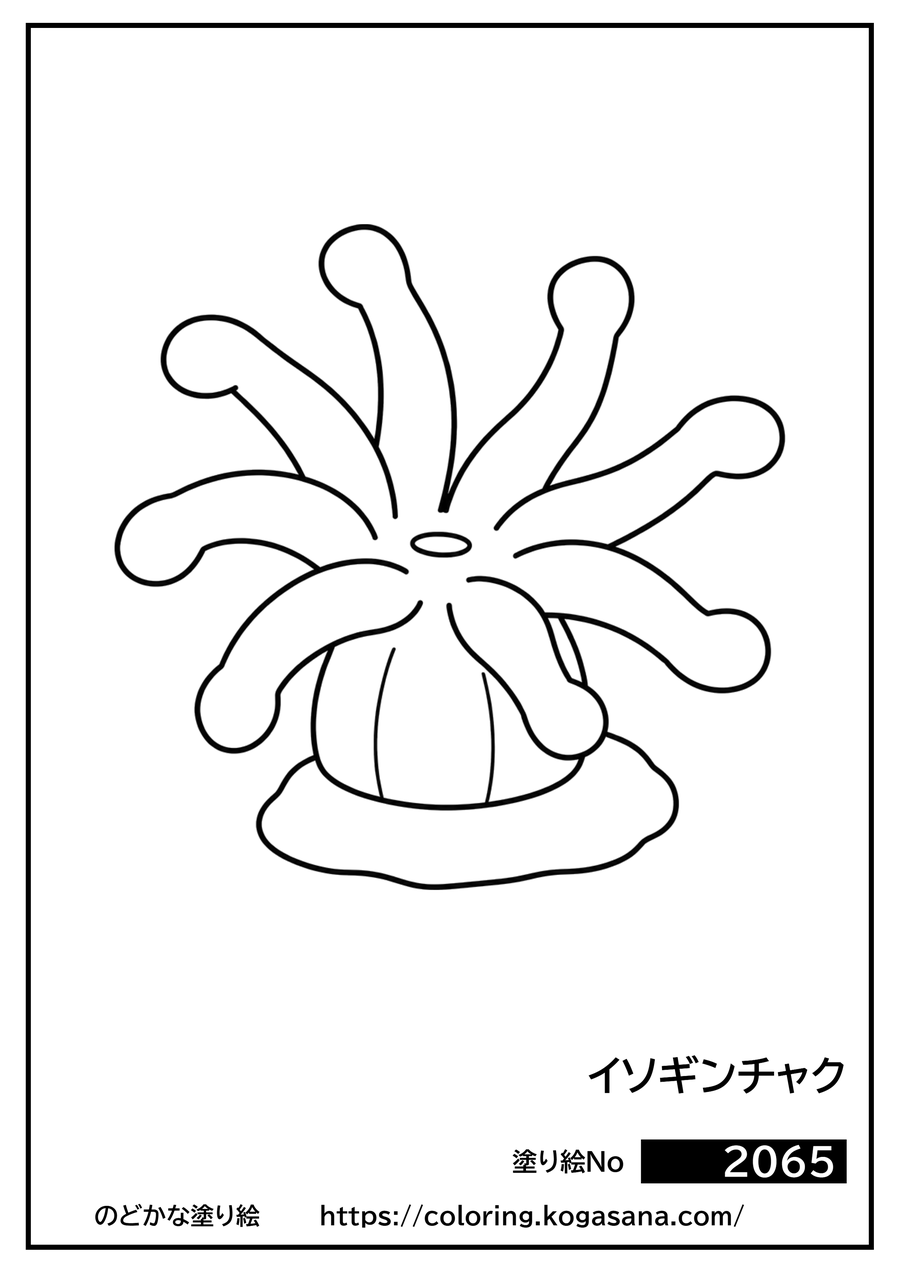 イソギンチャクの塗り絵