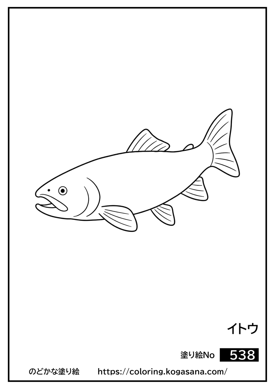 イトウの塗り絵