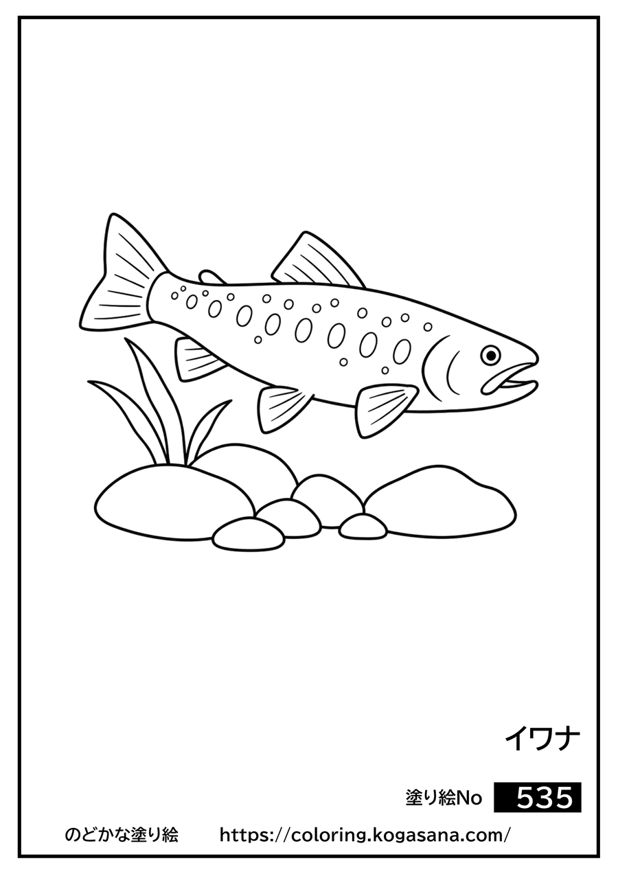 イワナの塗り絵