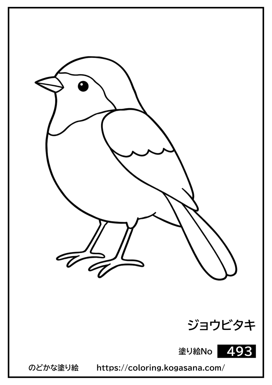 ジョウビタキの塗り絵