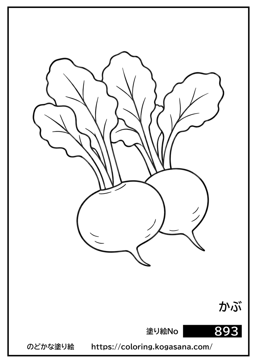 かぶの塗り絵