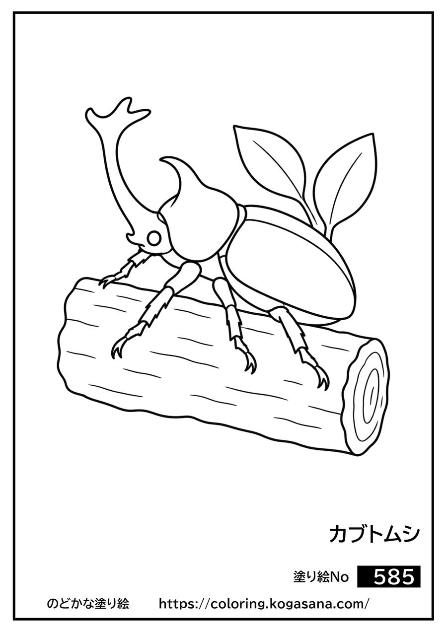 カブトムシの塗り絵