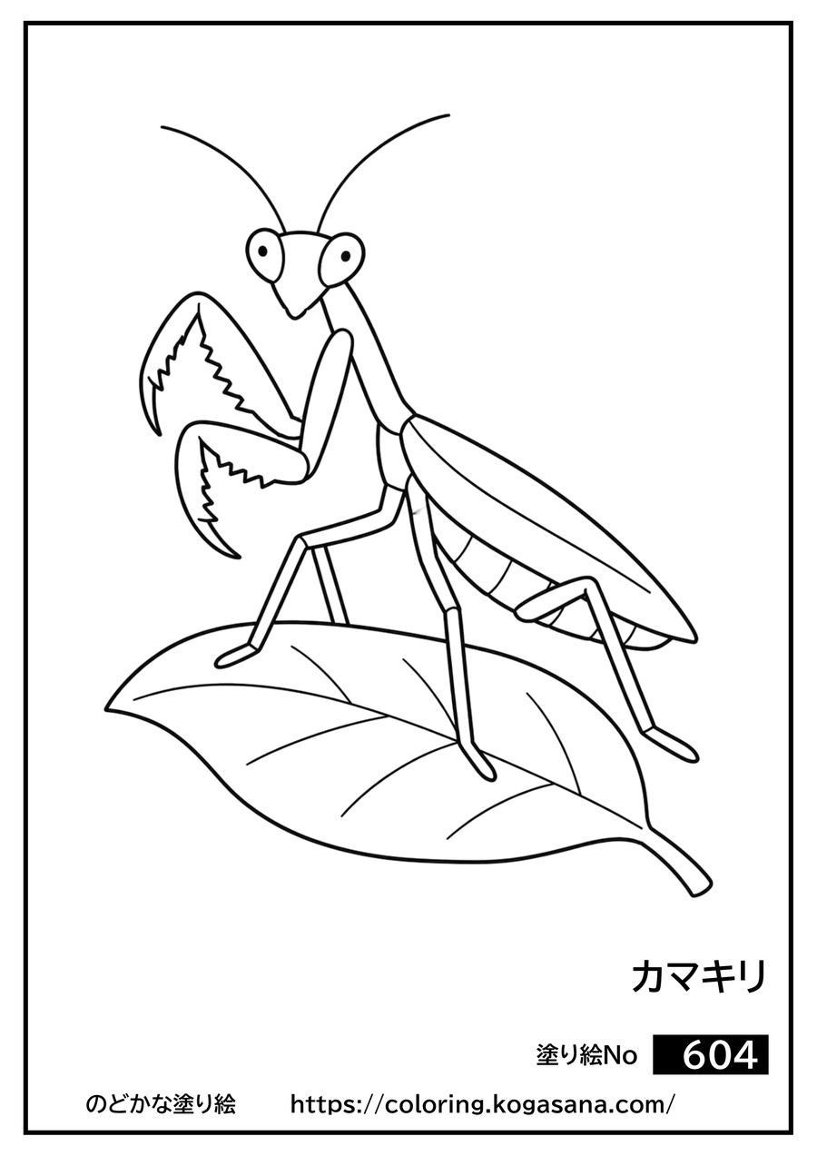 カマキリの塗り絵