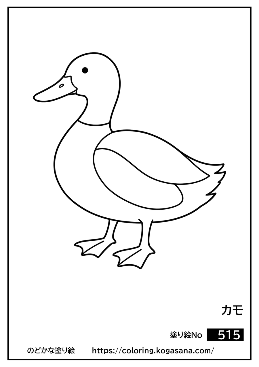 カモの塗り絵