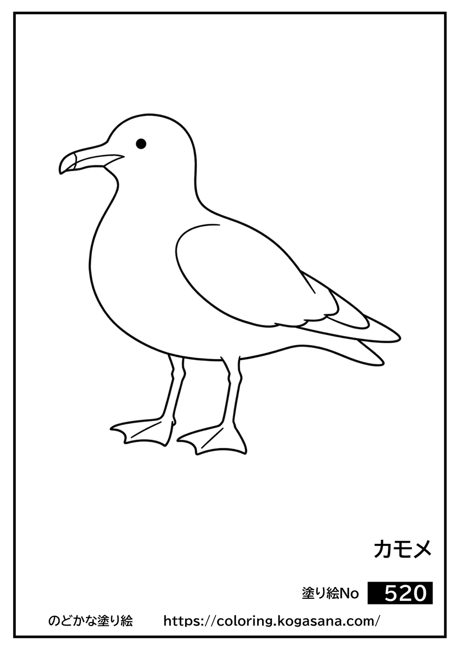 カモメの塗り絵