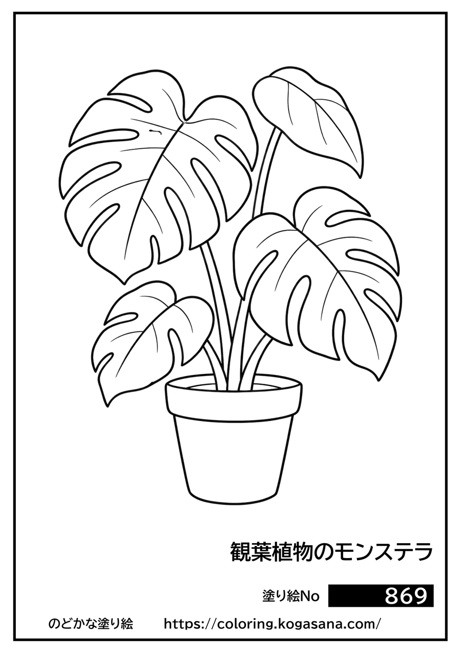 観葉植物のモンステラの塗り絵