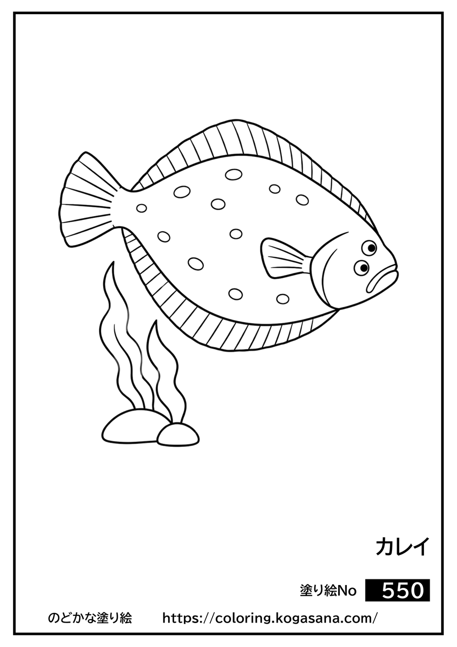 カレイの塗り絵