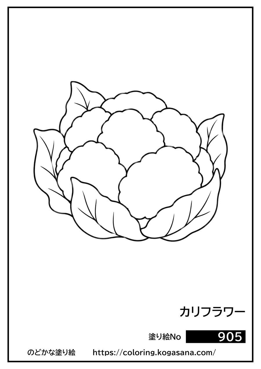 カリフラワーの塗り絵
