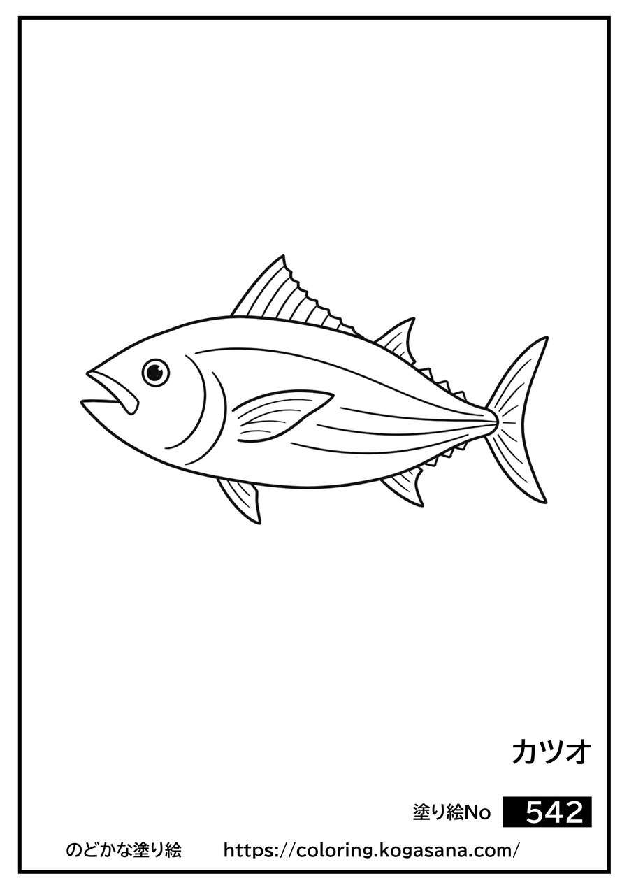 カツオの塗り絵