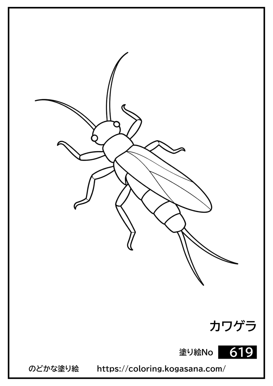 カワゲラの塗り絵