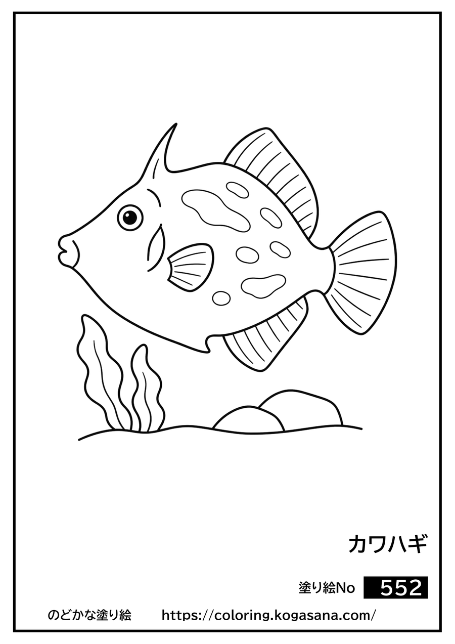 カワハギの塗り絵